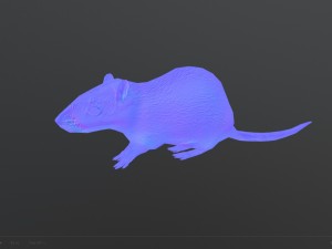 animated rat free on sketchfab Modelo 3D