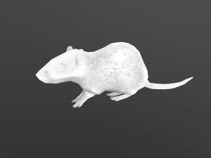 animated rat free on sketchfab Modelo 3D