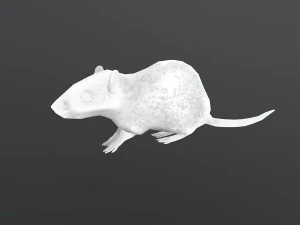 animated rat free on sketchfab 3D Model