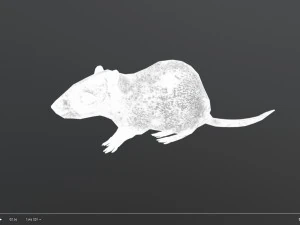 animated rat free on sketchfab 3D Model