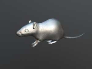 animated rat free on sketchfab Modelo 3D