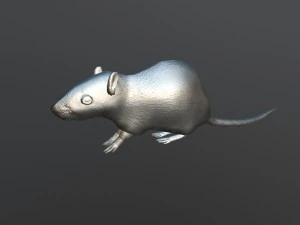 animated rat free on sketchfab 3D Model