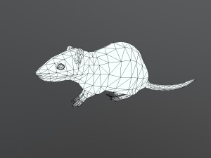 animated rat free on sketchfab Modelo 3D