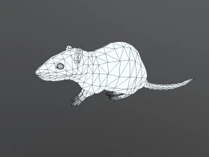 animated rat free on sketchfab 3D Model