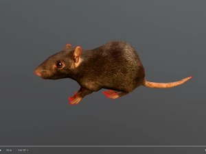 animated rat free on sketchfab 3D Model