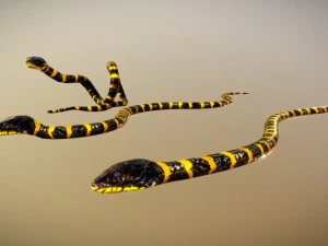 Creatura serpente animata gratuitamente su sketchfab Modello 3D