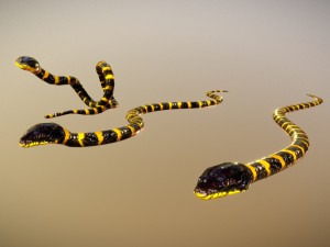 snake critter animated free on sketchfab Modello 3D
