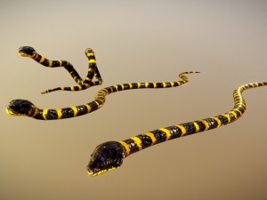 snake critter animated free on sketchfab Modello 3D