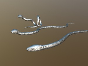 snake critter animated free on sketchfab Modello 3D