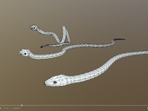 snake critter animated free on sketchfab Modello 3D