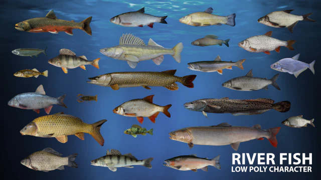 river fish low-poly 3D Model .c4d .max .obj .3ds .fbx .stl .blend 