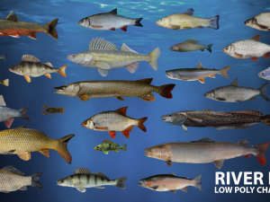 river fish low-poly 3D Model