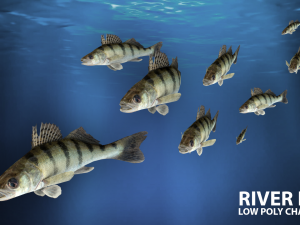river fish low-poly Modelo 3D