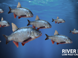 river fish low-poly Modelo 3D