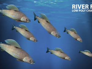 river fish low-poly Modelo 3D