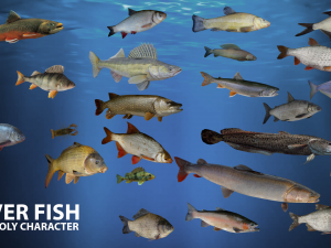 river fish low-poly Modelo 3D