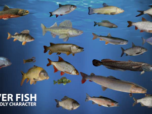 river fish low-poly 3D Model
