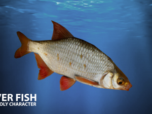 river fish low-poly Modelo 3D