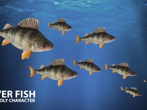 river fish low-poly Modelo 3D