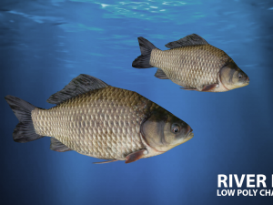 river fish low-poly Modelo 3D