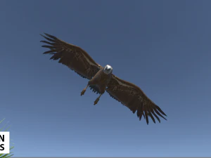 afrika hayvanları - paket 3D Model