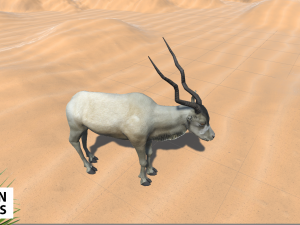 african animals - pack 3D-Modell
