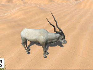 afrika hayvanları - paket 3D Model