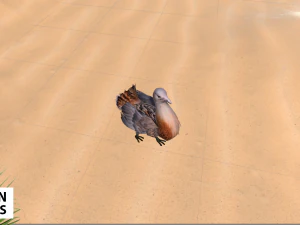 afrika hayvanları - paket 3D Model