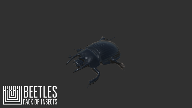 beetles - pack of insects Modèle 3D .c4d .max .obj .3ds .fbx .stl .blend 