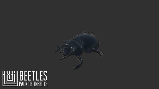 beetles - pack of insects 3D Model .c4d .max .obj .3ds .fbx .stl .blend 