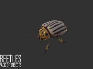 beetles - pack of insects 3D Model