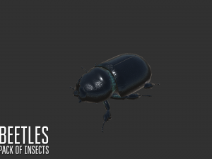 beetles - pack of insects Modèle 3D