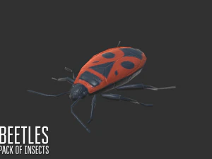 beetles - pack of insects 3D Model