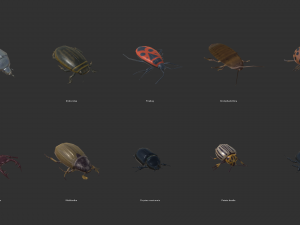 beetles - pack of insects Modèle 3D