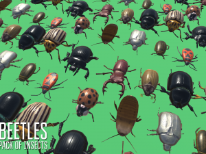 beetles - pack of insects Modèle 3D