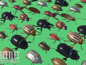 beetles - pack of insects Modèle 3D
