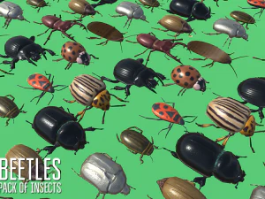 beetles - pack of insects 3D Model