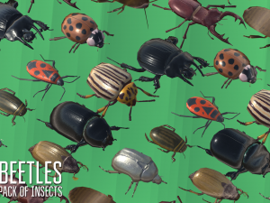 beetles - pack of insects Modèle 3D