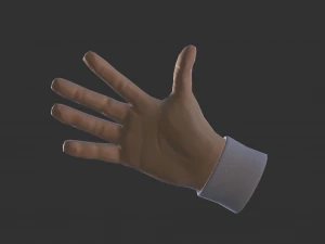cartoon hands - animated 3D Model