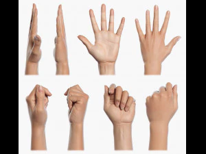 cartoon hands - animated 3D Model