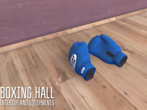 boxing hall - interior and equipments Modèle 3D