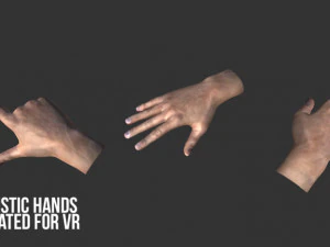 realistic hands - animated for vr 3D Model