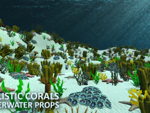 realistic corals - underwater props 3D Model