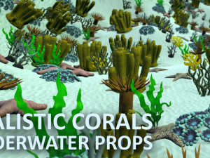 realistic corals - underwater props 3D मॉडल