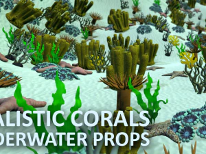 realistic corals - underwater props 3D Model