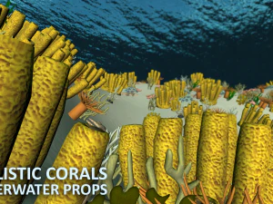 realistic corals - underwater props 3D Model