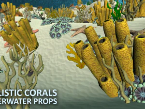 realistic corals - underwater props 3D Model