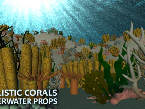 realistic corals - underwater props 3D Model