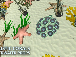 realistic corals - underwater props 3D Model