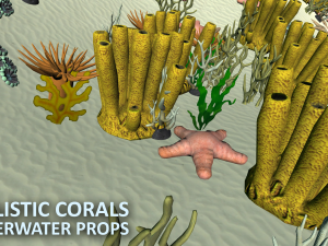 realistic corals - underwater props 3D मॉडल